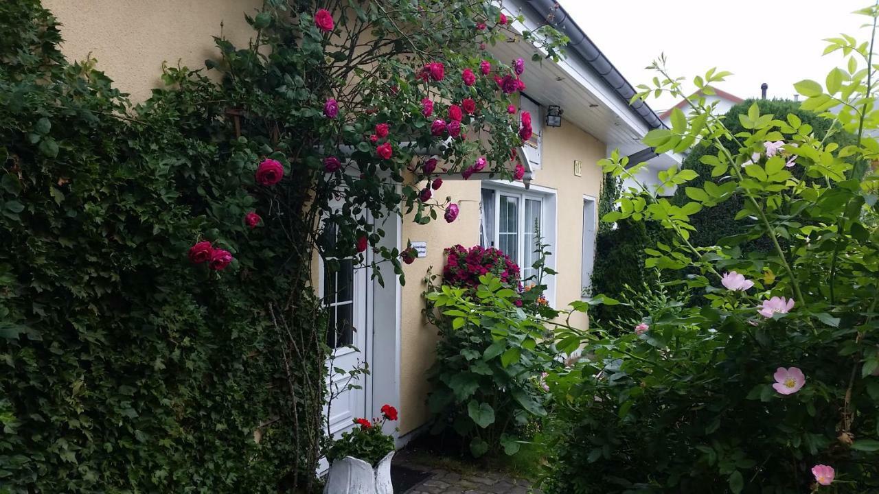 Haus Sandra هيرينجسدورف المظهر الخارجي الصورة